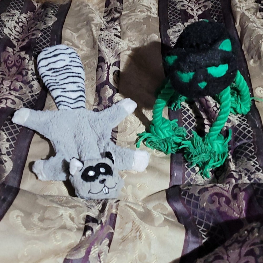 Set of 2 S/M dog toys: Spooky cat/flying squirrel